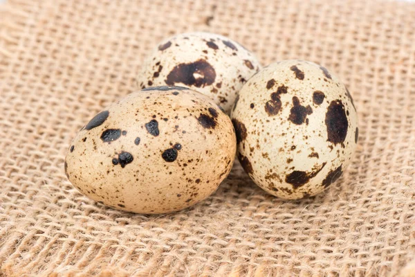 Três Ovos Codorniz Fecham — Fotografia de Stock