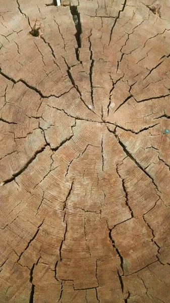 wood background, textured wooden surface