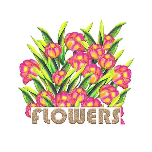 Tulips with glittering letters hand drawn watercolor. For t-shirt design