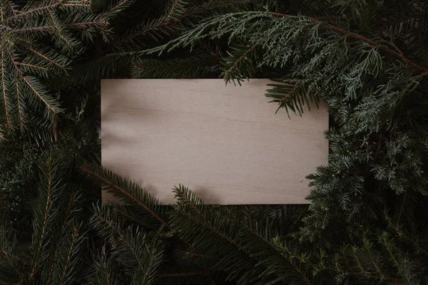 Christmas Fir Tree Copy Space — ストック写真