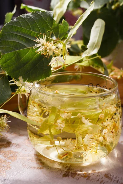 Glass Cup Freshly Made Yellow Linden Tea Branch Flowering Linden — Stok fotoğraf