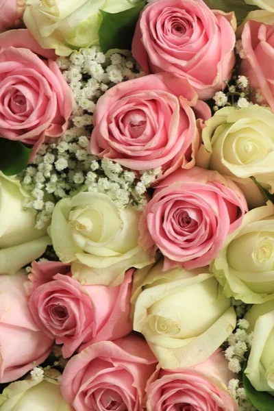 Różowe Białe Róże Bliska — Zdjęcie stockowe