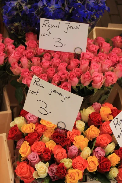Květiny Různých Barvách Trhu — Stock fotografie