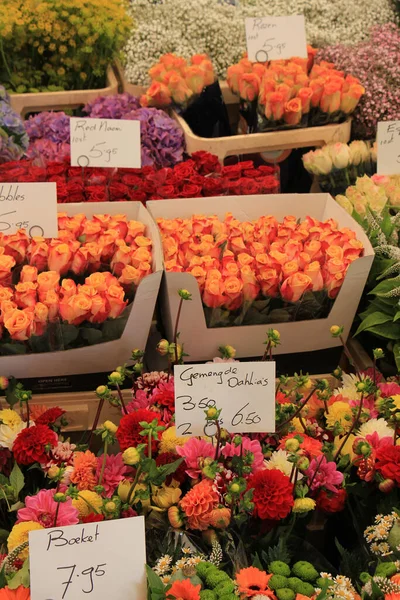 Flowers Various Colors Market — 图库照片