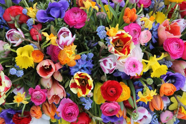 Renkli Bahar Çiçekleri Yakın Çekim — Stok fotoğraf