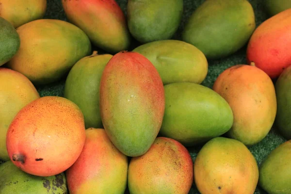 Čerstvé Mango Trh Stánek — Stock fotografie