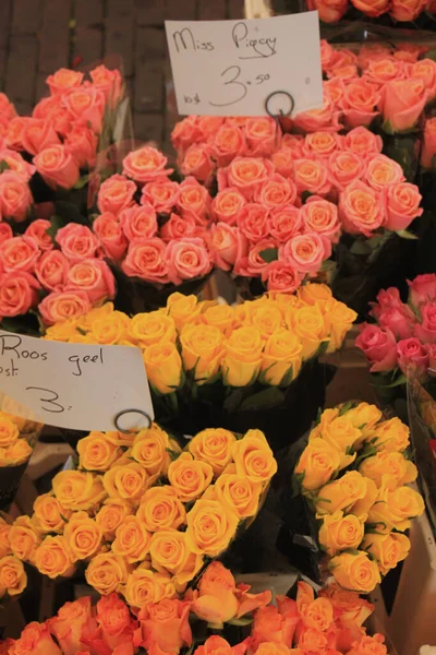 Roses Various Colors Market — Stock Photo, Image