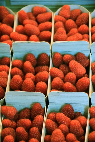 Fresas Cajas Pequeñas Puesto Mercado — Foto de Stock