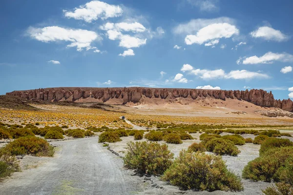 チリのアタカマ砂漠 火山性乾燥地帯を横断する未舗装道路上の車 — ストック写真