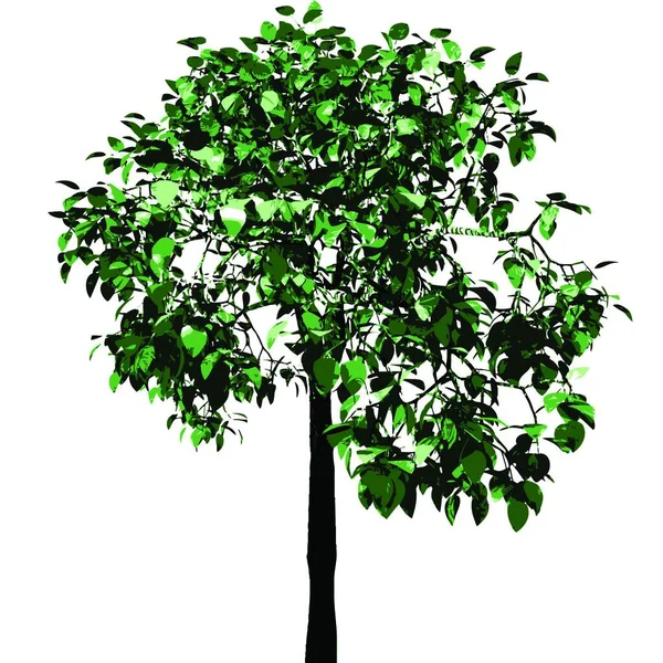 Grüner Baum Vektor Illustration — Stockvektor