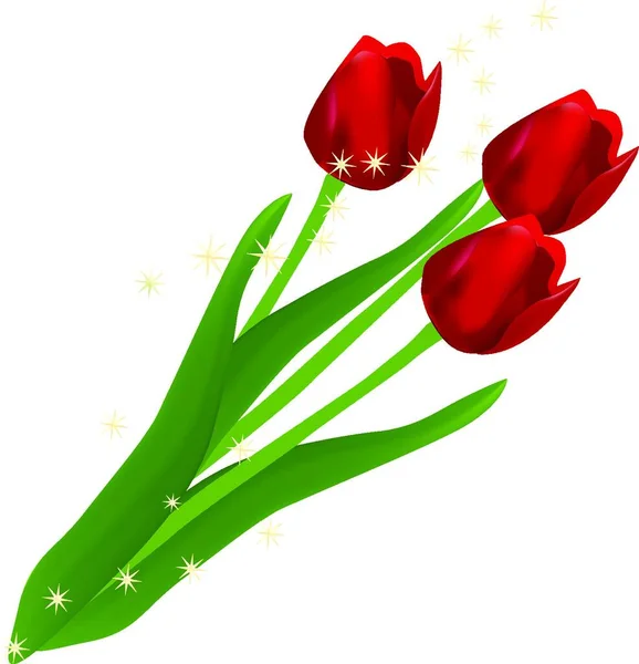 Illustration Von Tulpenblüten Flora Konzept — Stockvektor