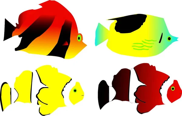 热带鱼矢量图 — 图库矢量图片
