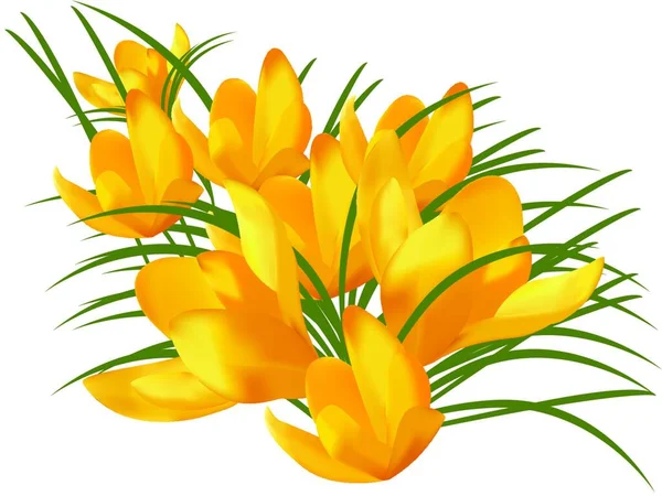 Affiche Florale Fond Avec Des Fleurs Pour Espace Copie — Image vectorielle