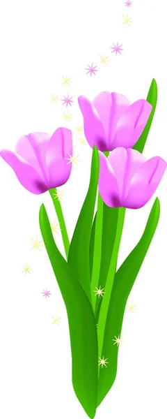 Illustration Fleurs Tulipes Concept Flore — Image vectorielle