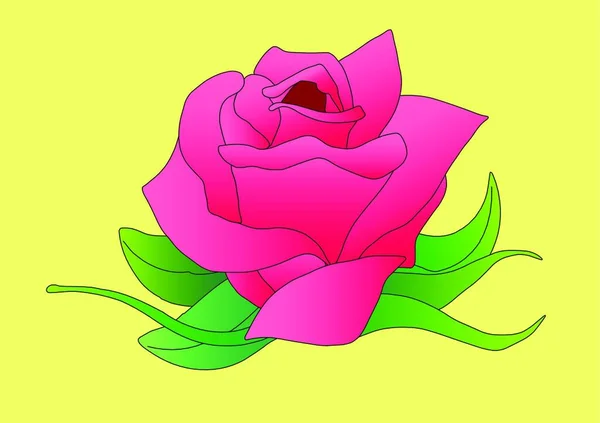 Rosa Rosa Sobre Amarillo Ilustración Vectorial — Vector de stock