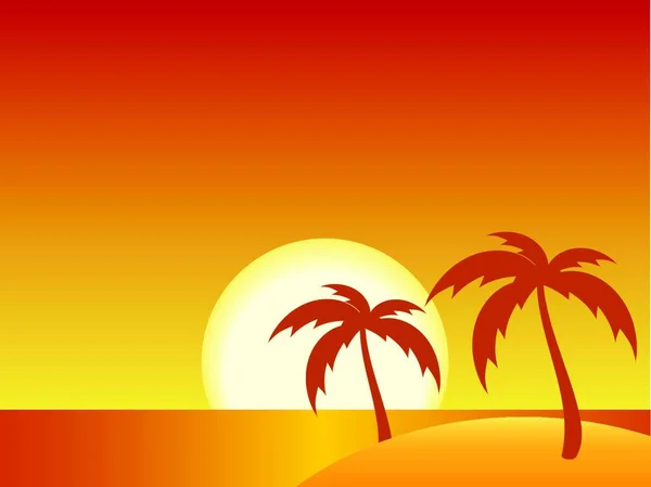 Pôr Sol Tropical Ilustração Vetorial Moderna — Vetor de Stock
