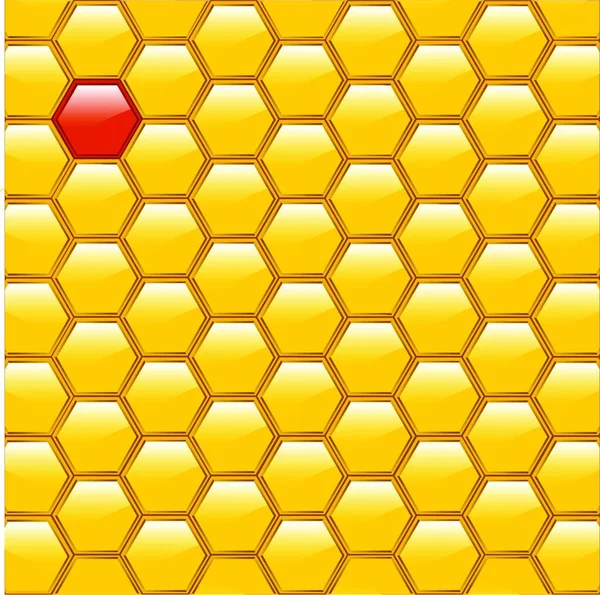 Honeycomb Diversity Vector Illustration — Stock Vector