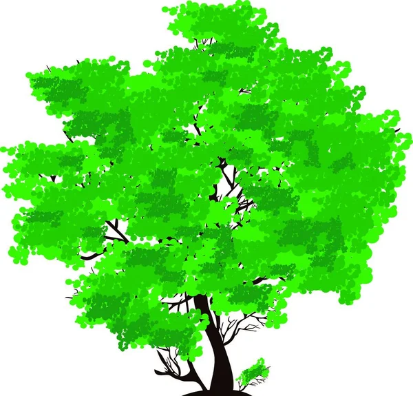 Árbol Verde Vector Ilustración — Archivo Imágenes Vectoriales