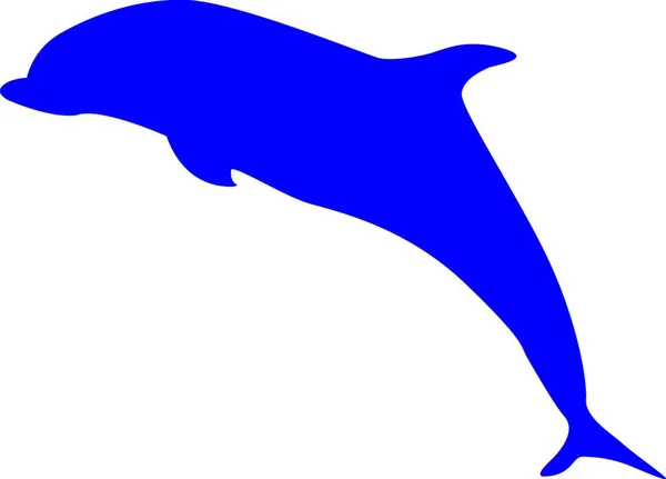 Silhueta Golfinho Ilustração Vetorial Colorida —  Vetores de Stock