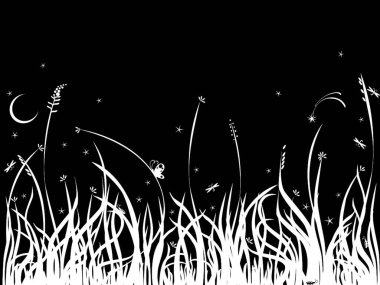 Yaz gecesi modern vektör illüstrasyonu