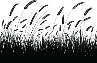 Çimen ve Sazlık modern vektör illüstrasyonu