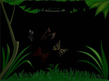 Kelebekli ormanın tasviri