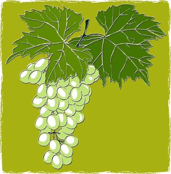Grapes Leaves Graphic Vector Illustration — Stock Vector