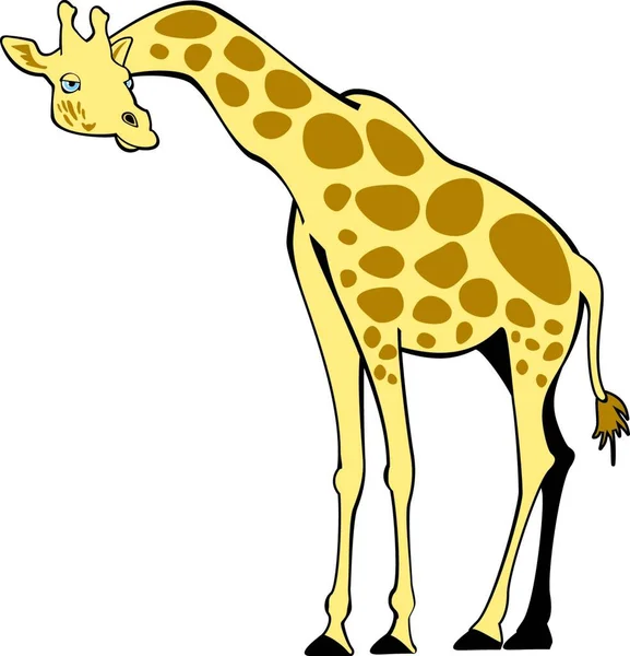 Żyrafa Ilustracja Wektora Graficznego — Wektor stockowy