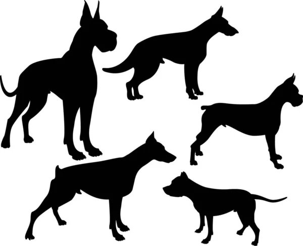 Silhueta Cães Ilustração Vetorial Moderna — Vetor de Stock