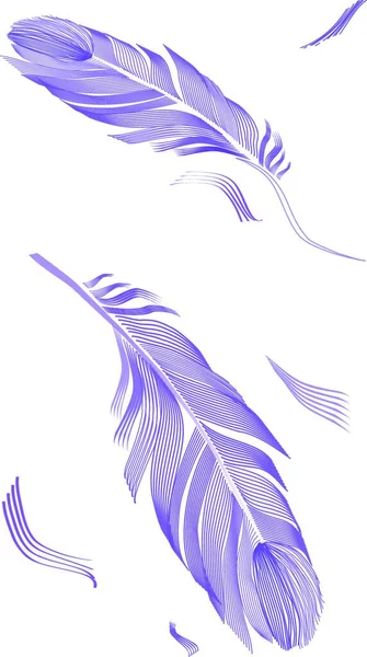 Ilustração Pena Pássaro Desenho — Vetor de Stock
