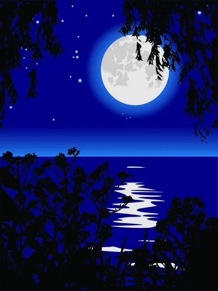 晚上在湖面上的月球路径 — 图库矢量图片