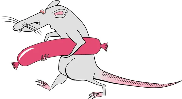 Rat Met Worst Vector Illustratie — Stockvector