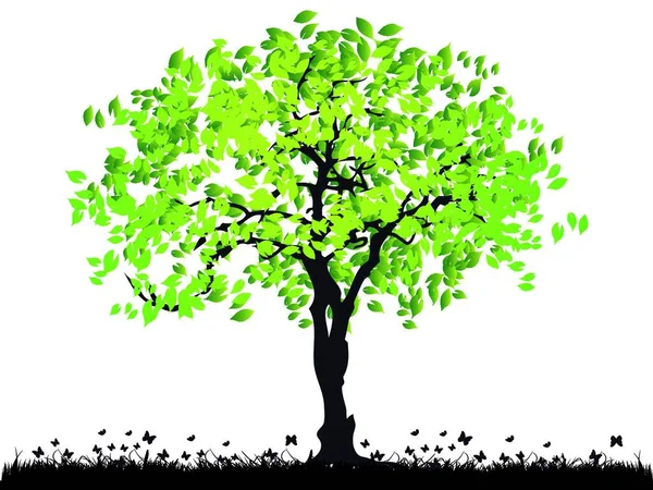 Baum Silhouette Vektor Illustration — Stockvektor