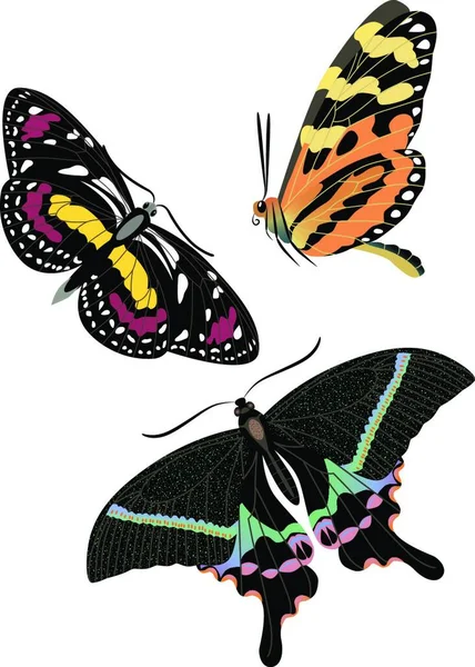 Ensemble Papillon Coloré Réaliste — Image vectorielle