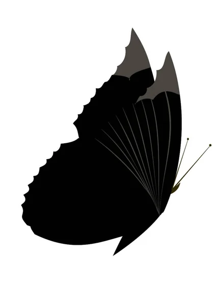 Ilustración Mariposa — Vector de stock