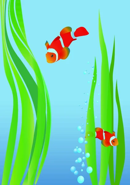 Anemonenfische Wasservektor — Stockvektor