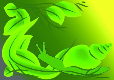 Yaprak içindeki salyangoz vektör illüstrasyonu 