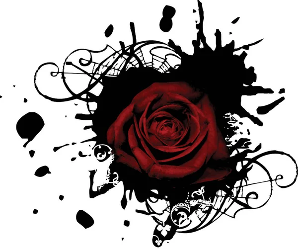 Illustration Fleur Rose Concept Floral — Image vectorielle
