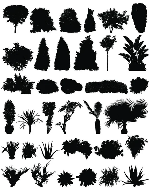 Plants Silhouettes Set Vector Illustration — Stock Vector