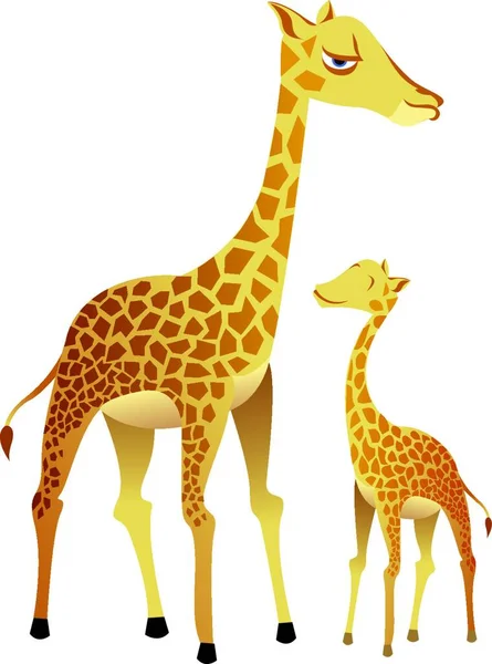 Illustrazione Vettoriale Della Famiglia Giraffa — Vettoriale Stock