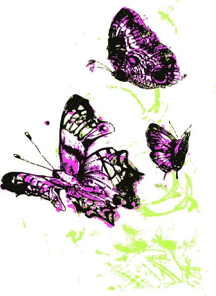 Ensemble Papillons Illustration Art Créatif — Image vectorielle