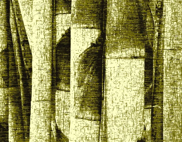 Bamboe Gekleurde Vector Illustratie — Stockvector