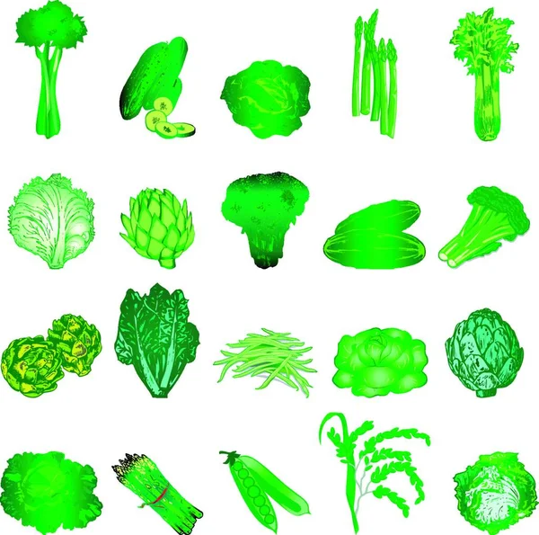 Veggies Verde Moderna Illustrazione Vettoriale — Vettoriale Stock