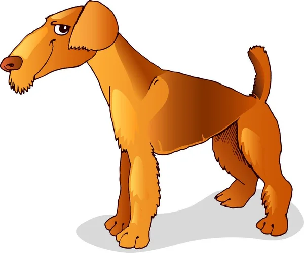 Airedale Terrier Vector Ilustración — Archivo Imágenes Vectoriales