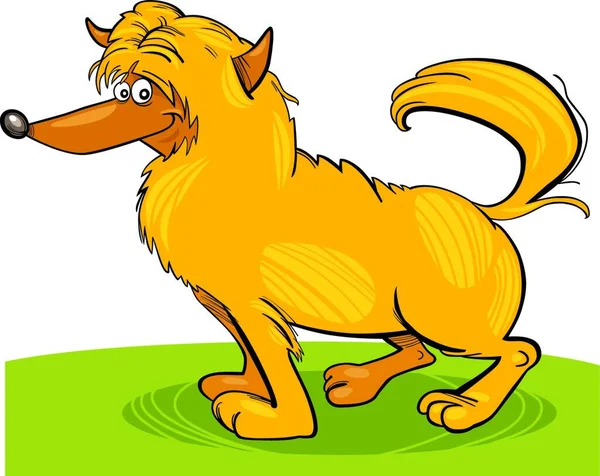 Kudłaty Żółty Pies Wektor Ilustracja — Wektor stockowy