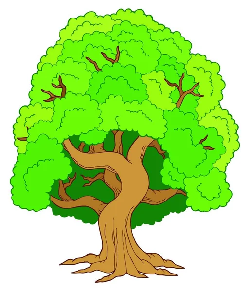 Yeşil Yapraklı Ağaç Vektör Çizim — Stok Vektör