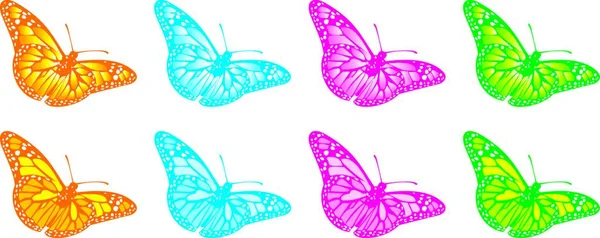 Schmetterlinge Farbige Vektorillustration — Stockvektor