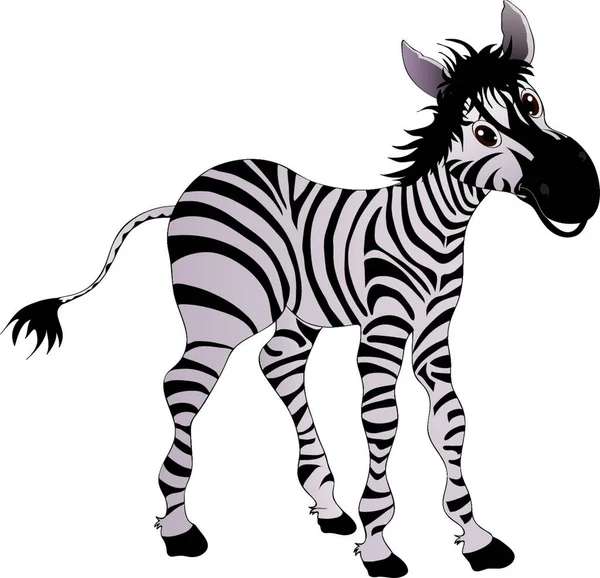 Zebra Modern Vector Illustration — Stock Vector