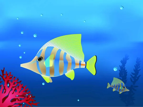 Illustration Des Vektors Tropischer Fische — Stockvektor