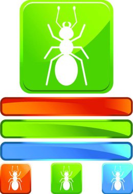 Yeşil kare simgesi - karınca 
